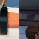 Illustration for article titled Revisiting Drakes Fortune: Uncharted Collection Trailer In-Depth